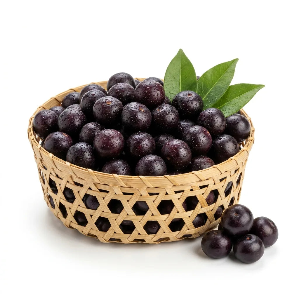 Acai Berries | The Superfood Jewel of the Amazon