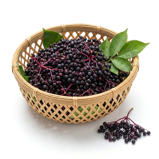 European Elderberries - Nature's Deep Purple Wellness Elixir