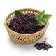 European Elderberries - Nature's Deep Purple Wellness Elixir