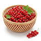 Red Currants - European Ruby Berries