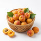 Ladakh Apricot | Himalayan Gold, Delivered Fresh