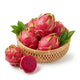 Dragon Fruit (Red Flesh) - The Ruby Jewel of the Tropics