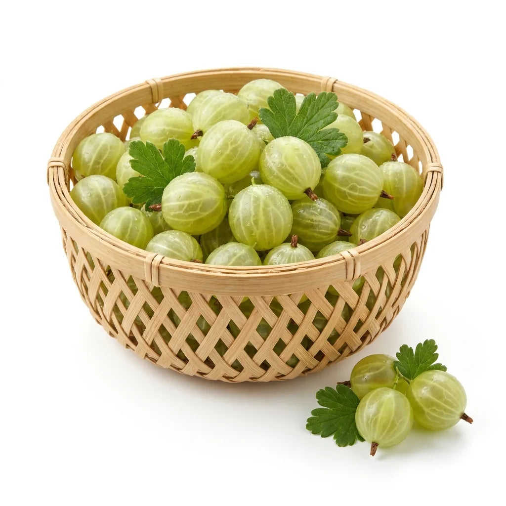 South African Green Gooseberries | Nature's Tangy Jewels