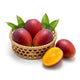Taiyo no Tamago Mango | The Sun's Egg of Sweetness